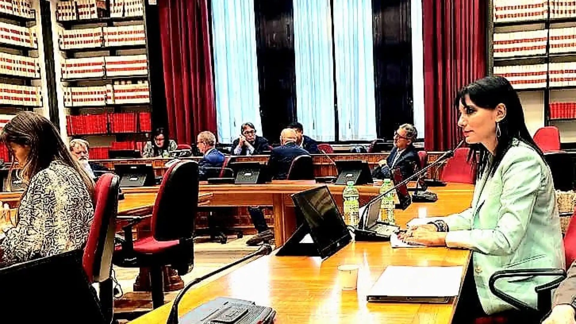 Minori stranieri non accompagnati. L'intervento in commissione dell'Onorevole Elisabetta Lancellotta.